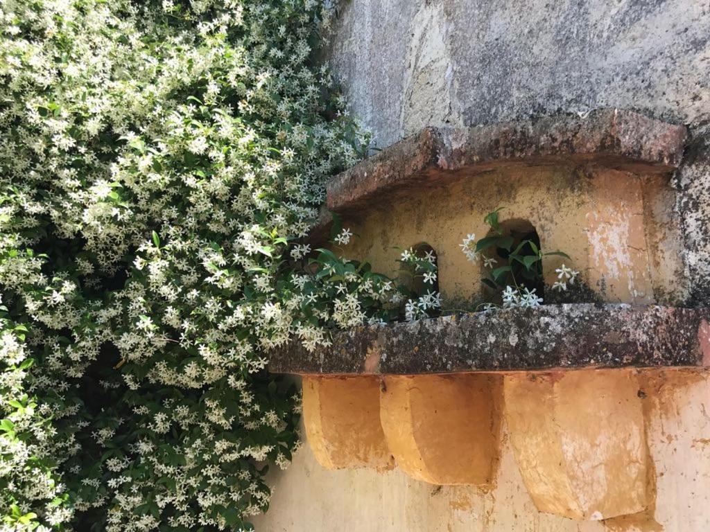 La Fragna Bed & Breakfast Nardò Exterior foto